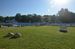 DSC_0019.JPG