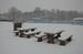 DSC_0150.JPG