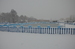 DSC_0155.JPG