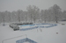 DSC_0172.JPG