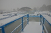 DSC_0202.JPG