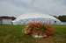 DSC_0326.JPG